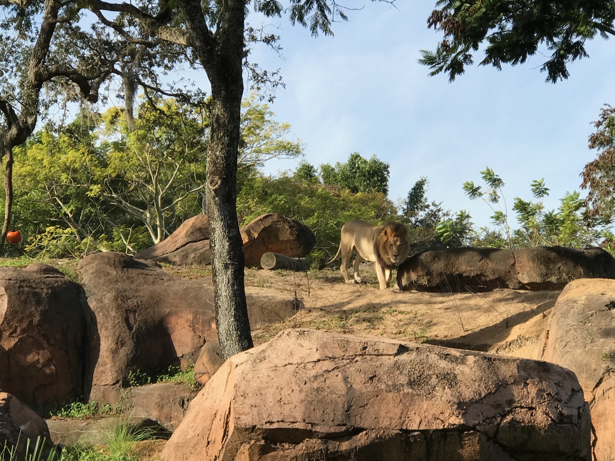 disney-trip-2016-96 photo