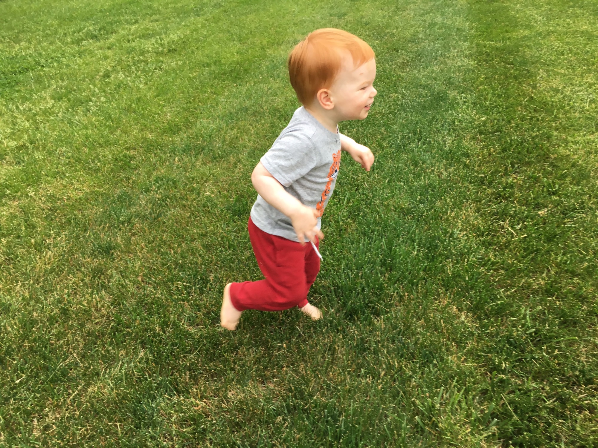 05-29-2016-brooks-spring-1 photo