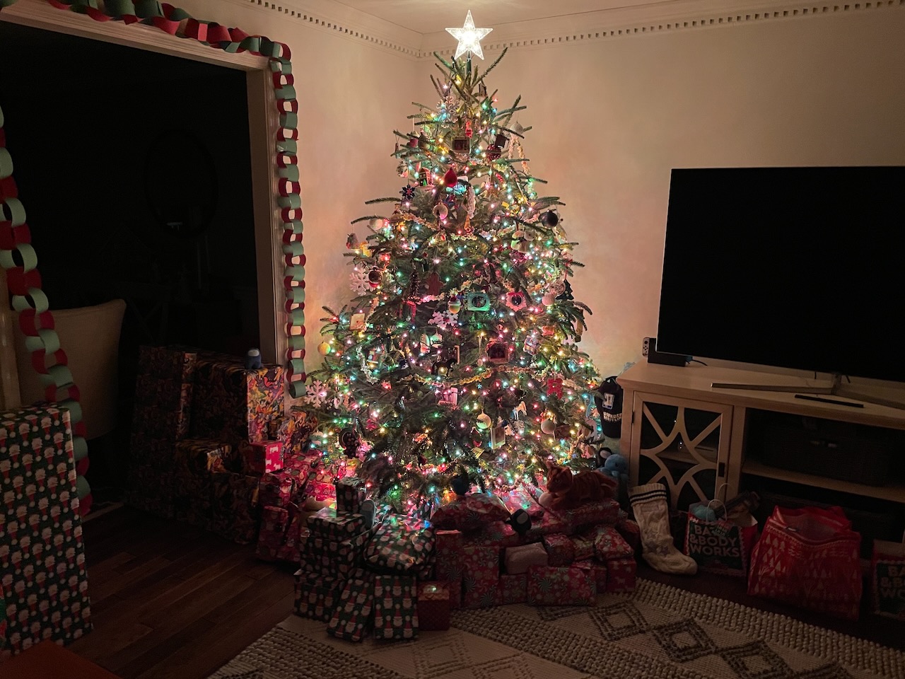 2020-12-25-christmas-tree photo