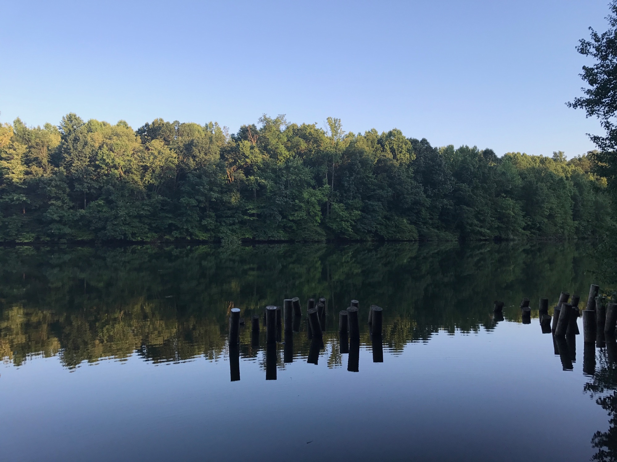 2017-07-16-marsh-creek-06 photo