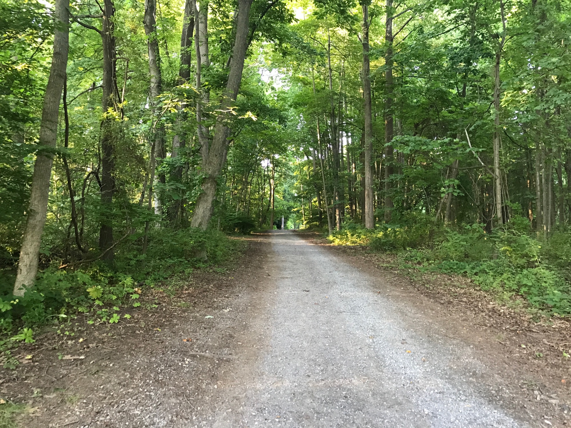 2017-07-16-marsh-creek-05 photo