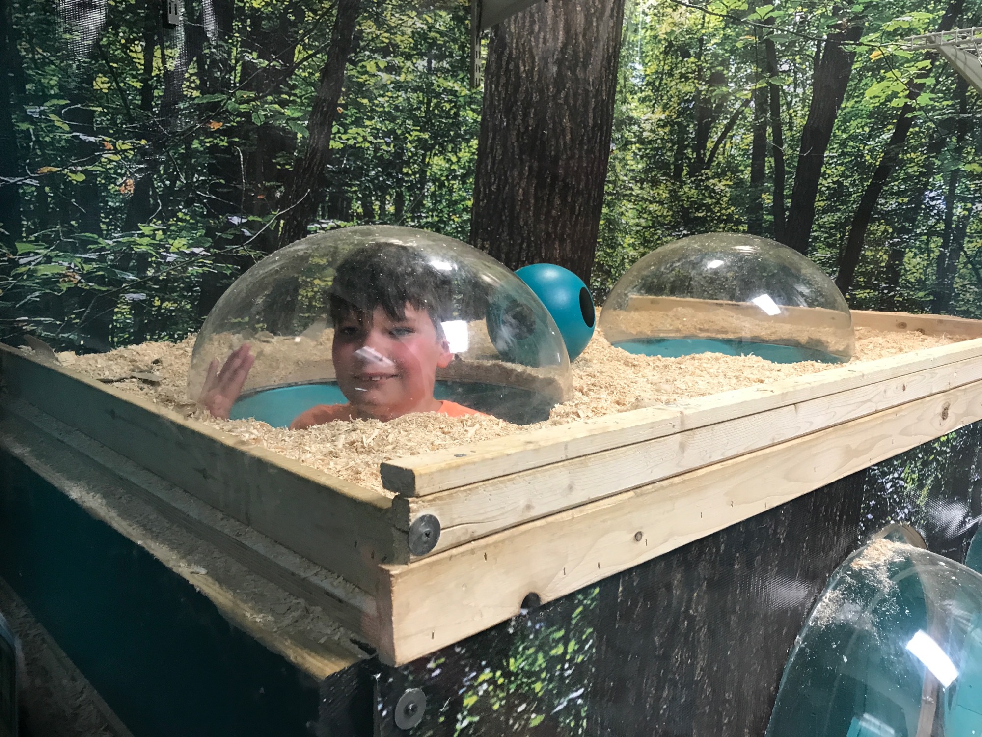 2017-06-25-ocean-city-10 photo